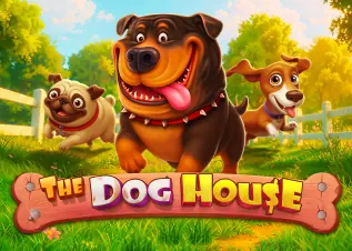 พิมรี่ ดีไหม The Dog House ทดลองเล่นฟรี